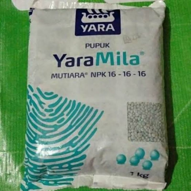 Yaramila Unik 16:16:16