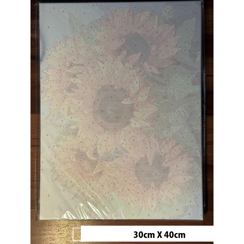 

diy canvas painting number karakter anime bunga alam 30X40 dan 40x50 RB9