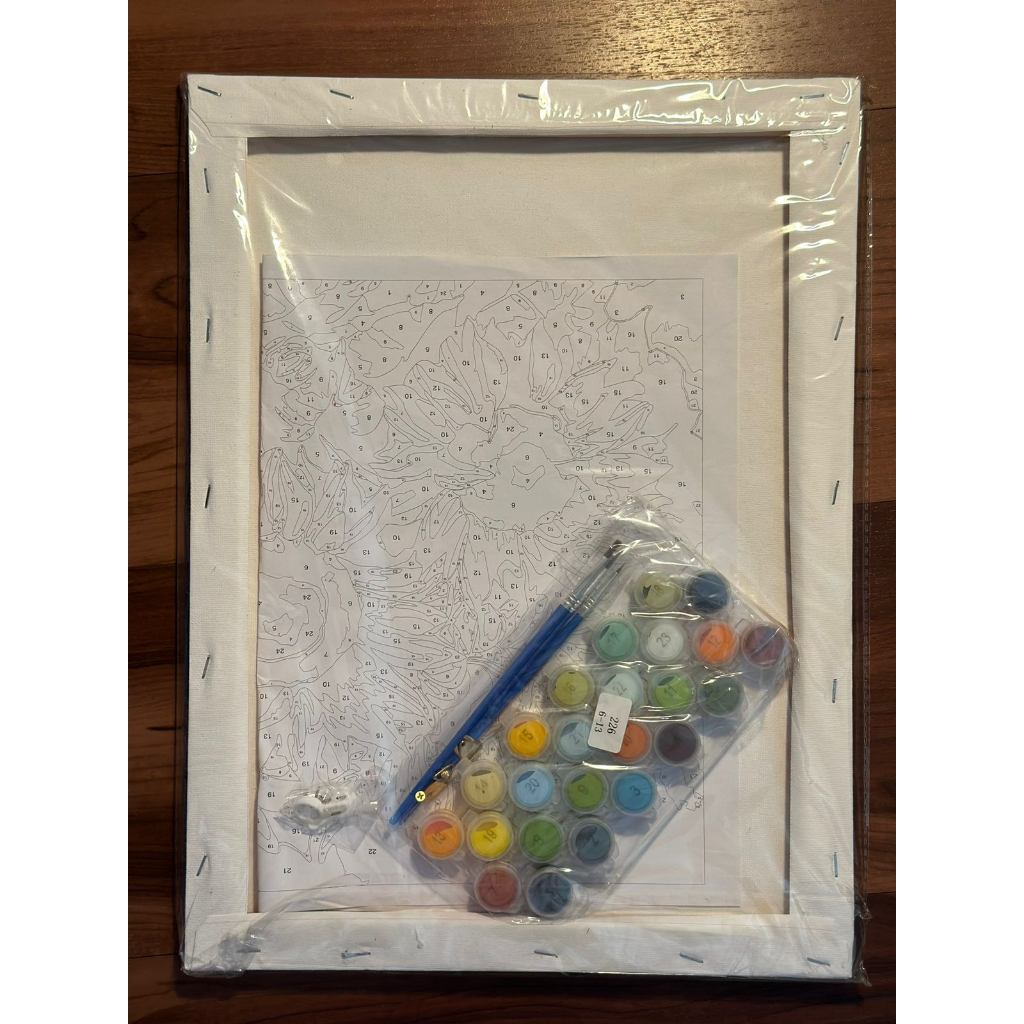 

mg diy canvas painting number karakter anime bunga alam 30X40 dan 40x50