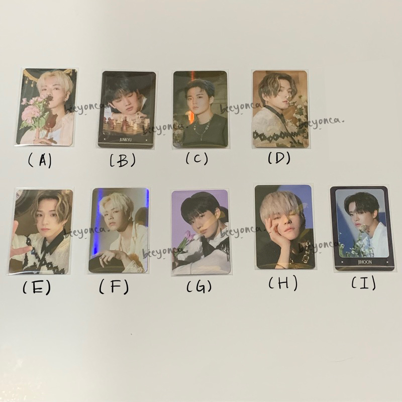 PC Treasure Night Garden