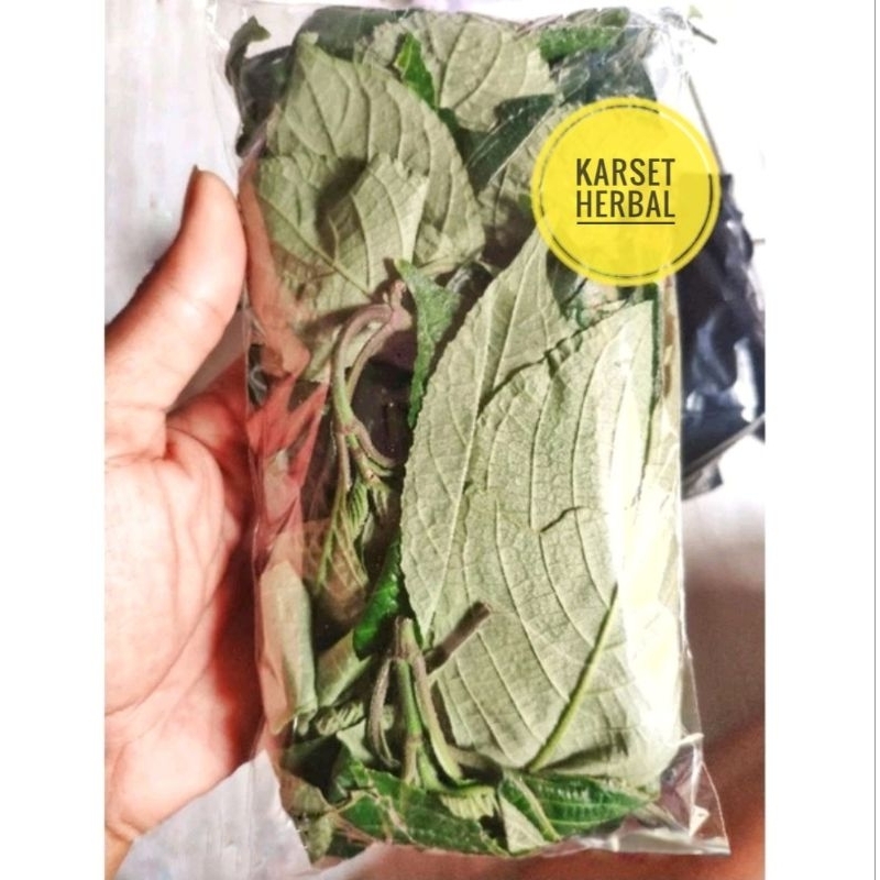 

Daun kaca beling segar | Daun Pecah Beling Segar