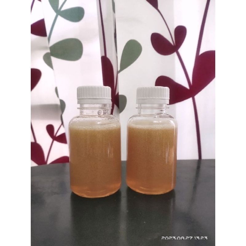 

Madu Odeng 150 gr, Madu Hutan Baduy Murni Asli 100% Dijamin, Recomended Puspita Miauw.