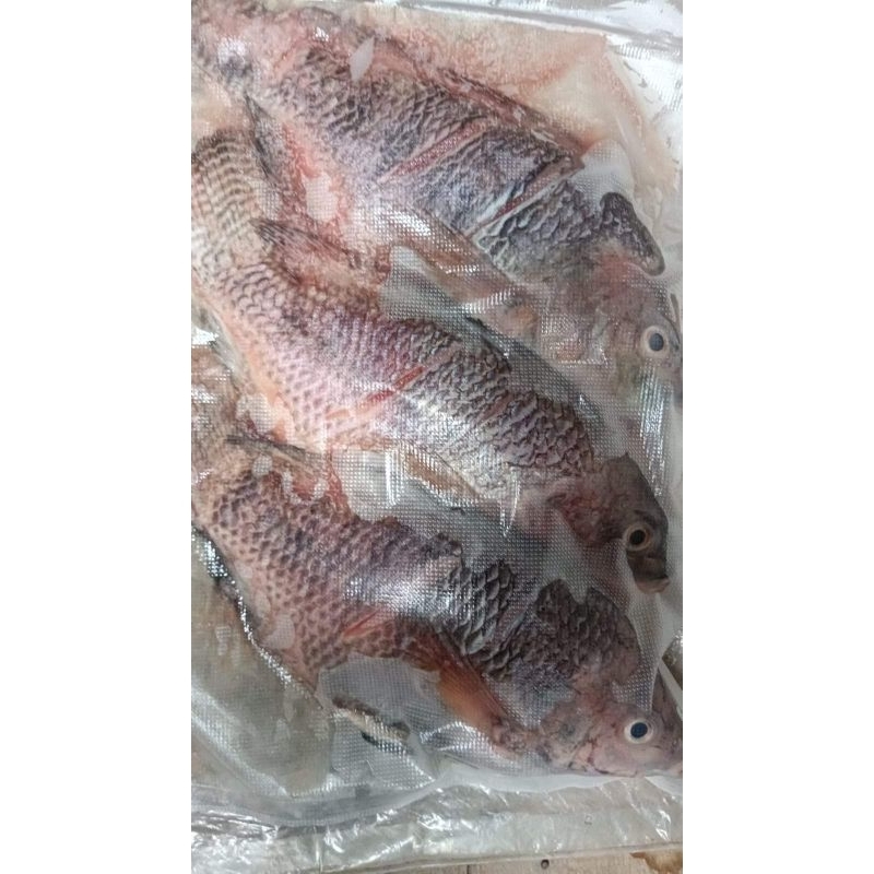 

Nila bumbu siap tinggal digoreng