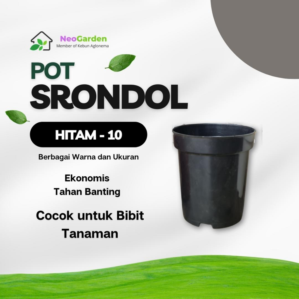 Pot Srondol 10 12 Pot Plastik Kecil Untuk Bibit Tahan Pecah Ringan Pot Tanaman Hias Warna Hitam Puti