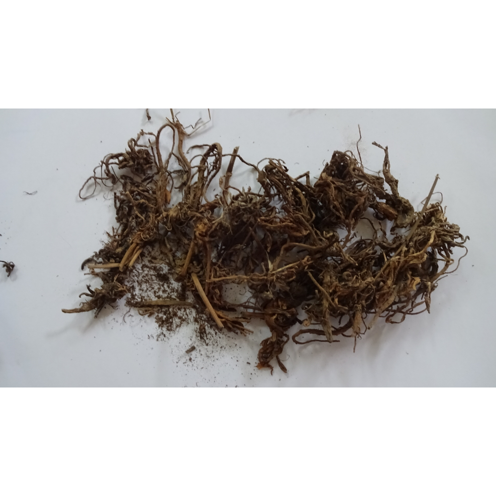 

Purwoceng (1 Kg) / Purwaceng / Pimpinella Alpina Radix / Pimpinella Pruatjan