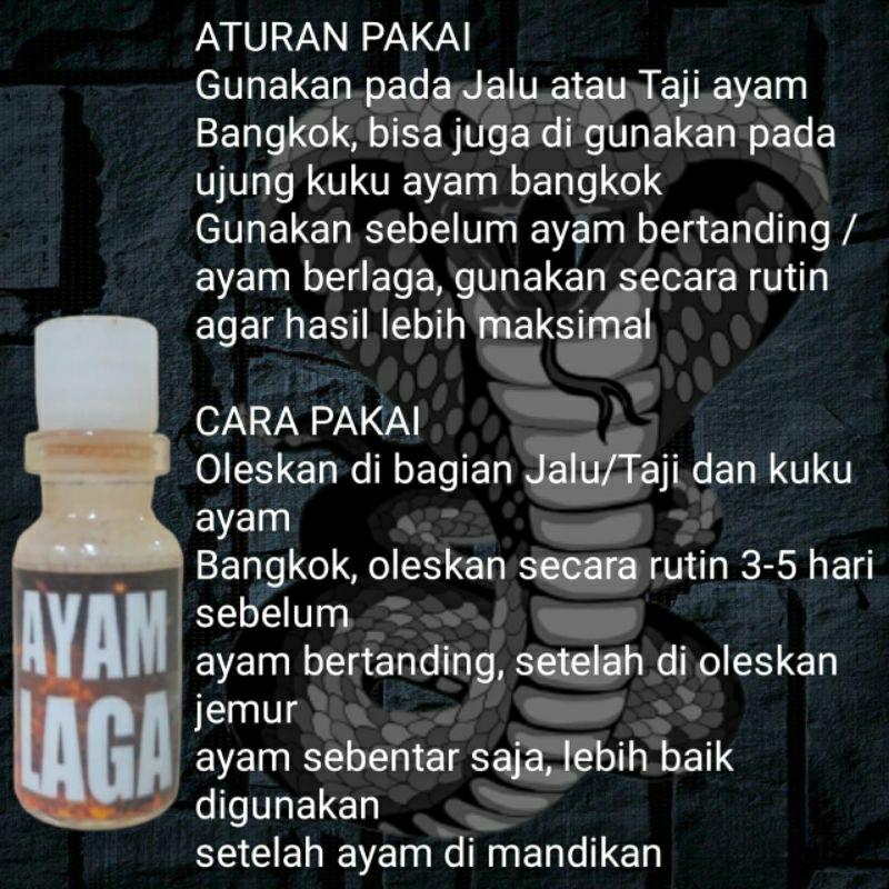 Minyak taji racun Jalu sabung ayam gelanggang tarung
