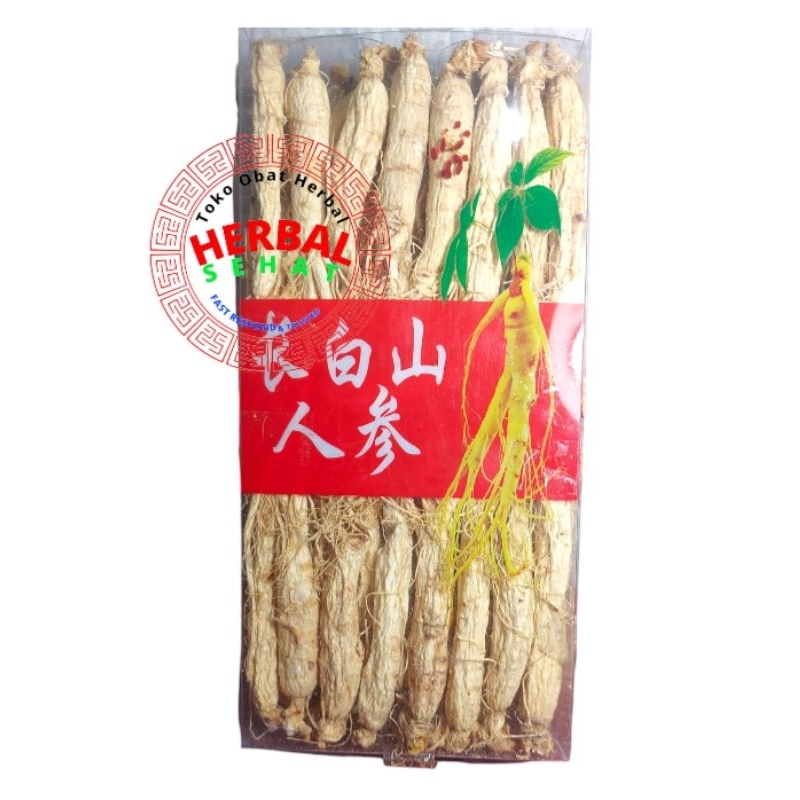 

Akar Ginseng Utuh 600 Gram 人参 Ginseng Batang Ginseng Utuh