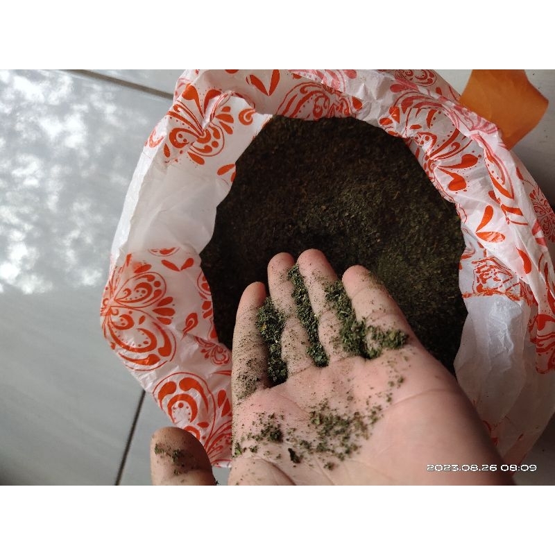 

DAUN SERMOT DAUN RAMBUSA KERING PERBUNGKUS