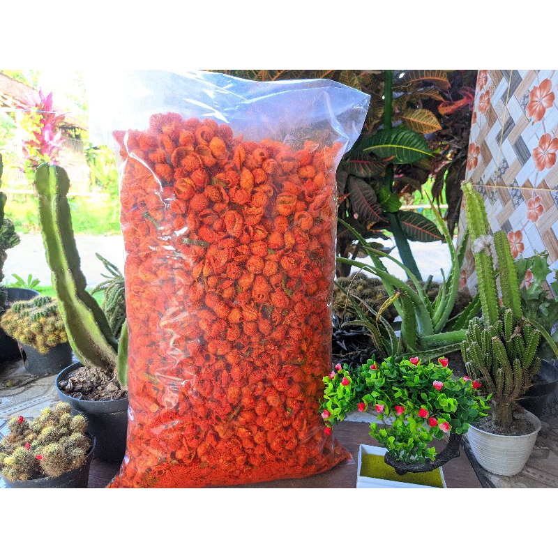 

Makaroni jagung kerang 1 kg