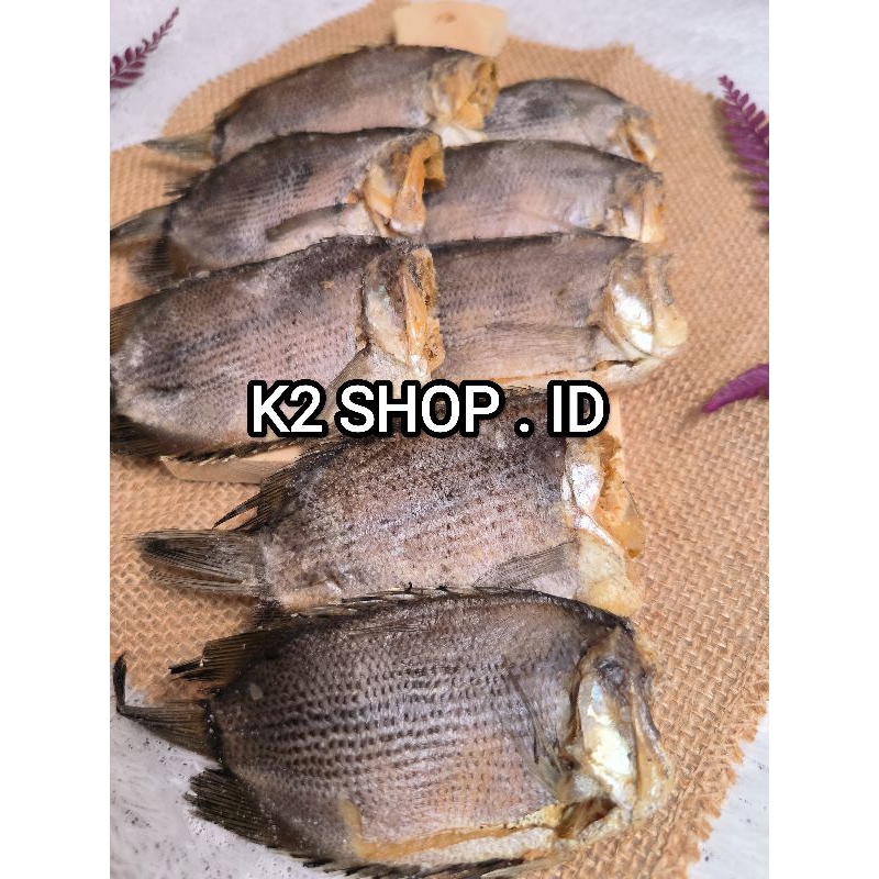 

Ikan Asin Tembakang / Biawan Best Seller