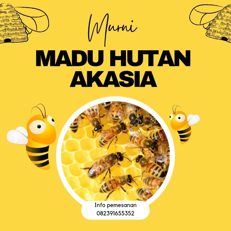 

Madu akasia asli