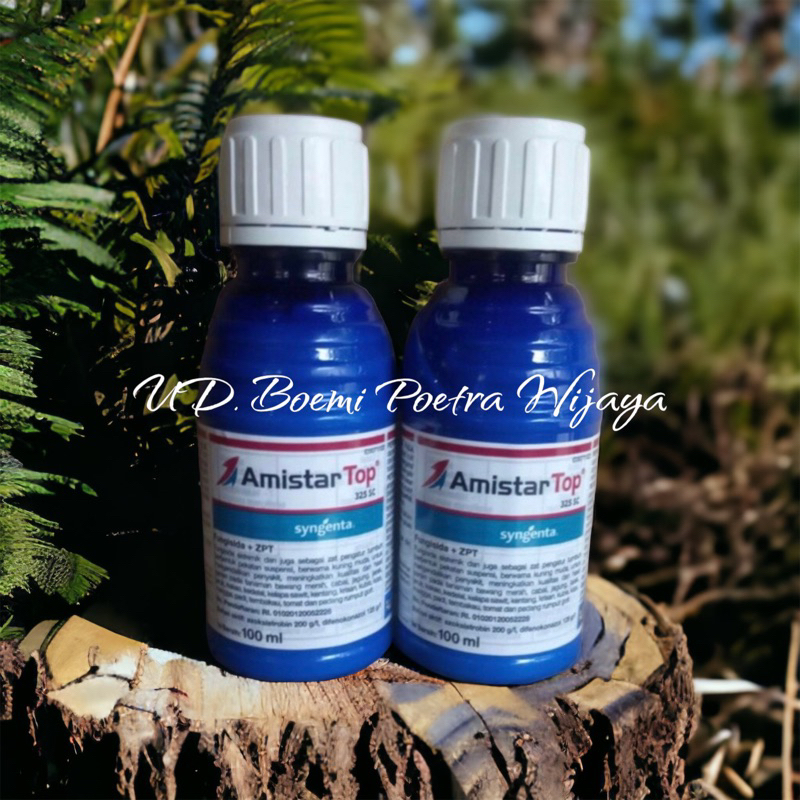 AMISTARTOP ORIGINAL 100%