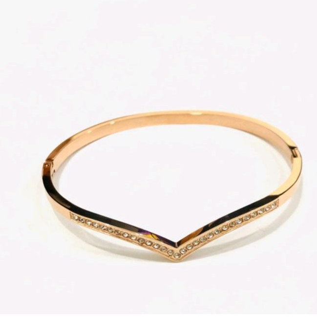 Bangle Fuji Titanium