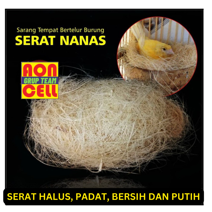 SERAT NANAS SARANG TEMPAT BERTELUR BURUNG LOVE BIRD KENARI
