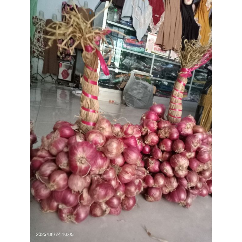 

BAWANG MERAH DISKON 50% SAAT LIVE