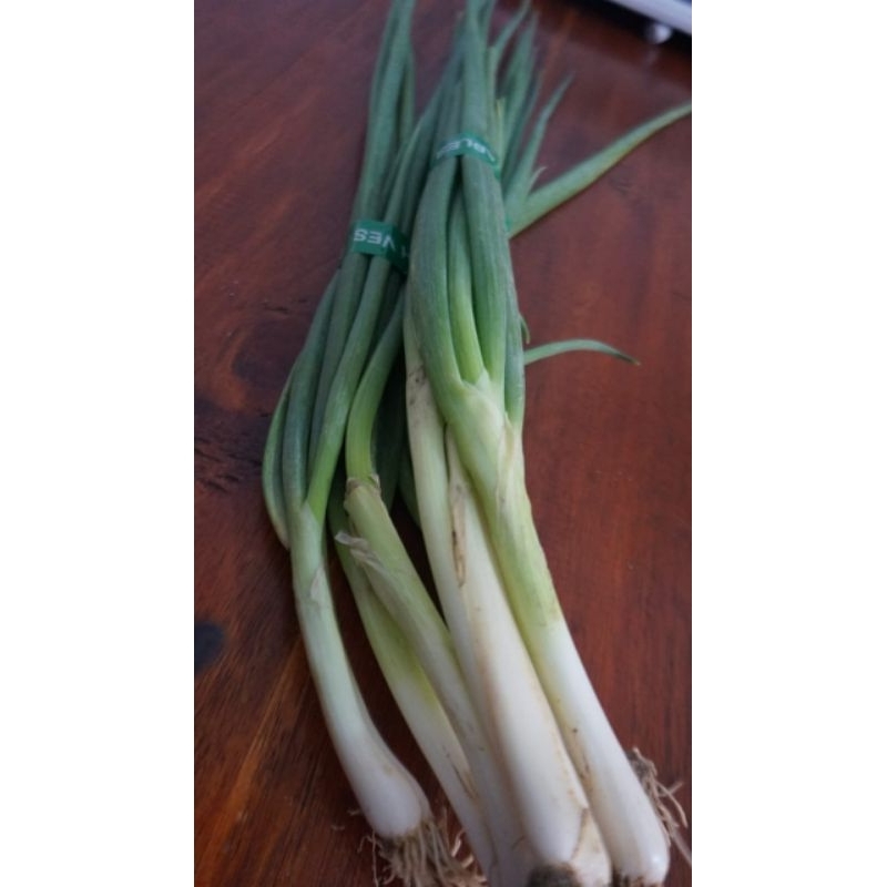 

Daun Bawang