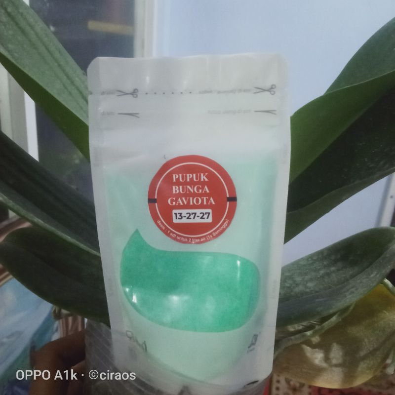 pupuk gaviota merah