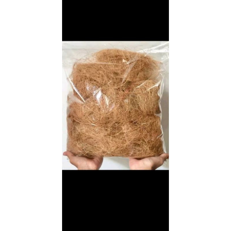 media tanam sabut kelapa