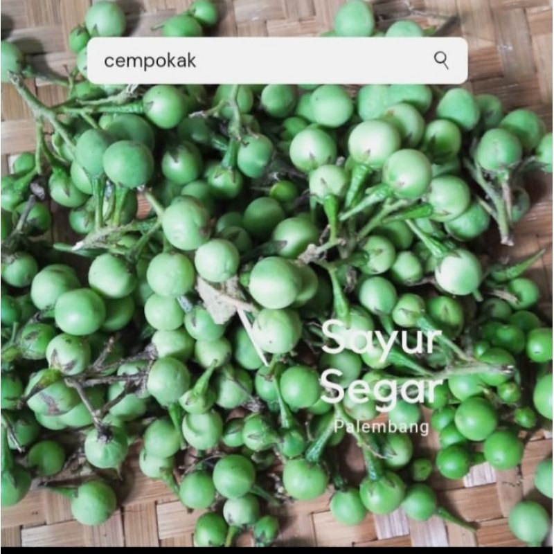 

Lenca / Cempokak 250 Gr Sayur Segar Palembang