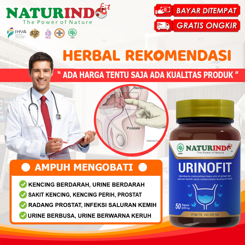 Obat Radang Prostat Tanpa Operasi Infeksi Saluran Kemih Sakit Kencing Perih Tidak Lancar URINOFIT