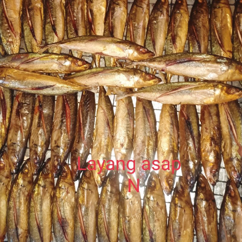 

Layang jumbo Rp55000 isi 5 ekor