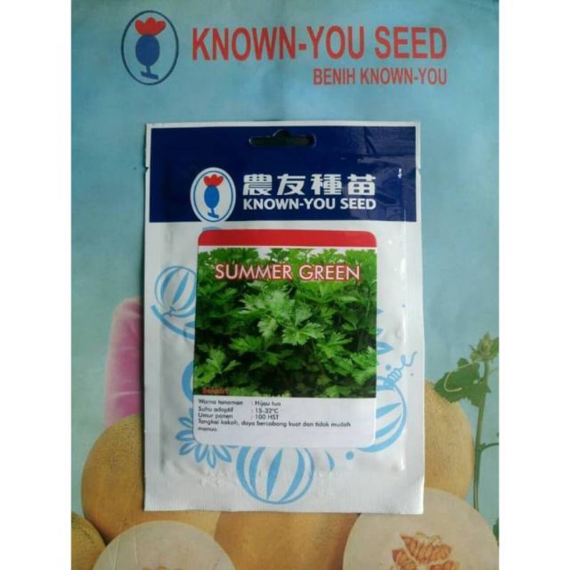 Benih Biji Seledri SUMMER GREEN isi 10 gt
