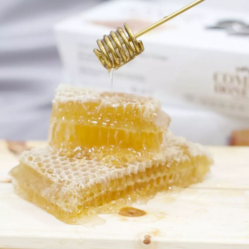 

100 Gram Comb Honey Madu Sarang / Sarang Madu Asli Premium