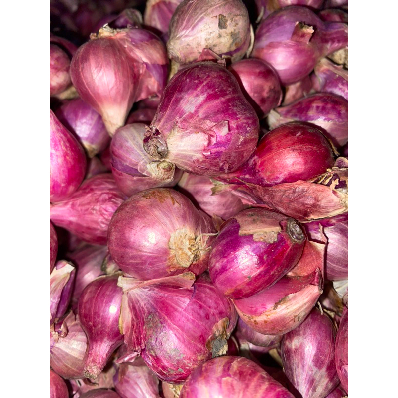 

bawang merah 1 KG besar dan kering