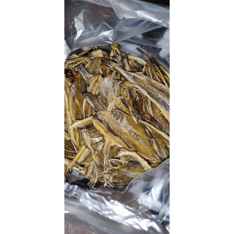 

ikan asin tipis