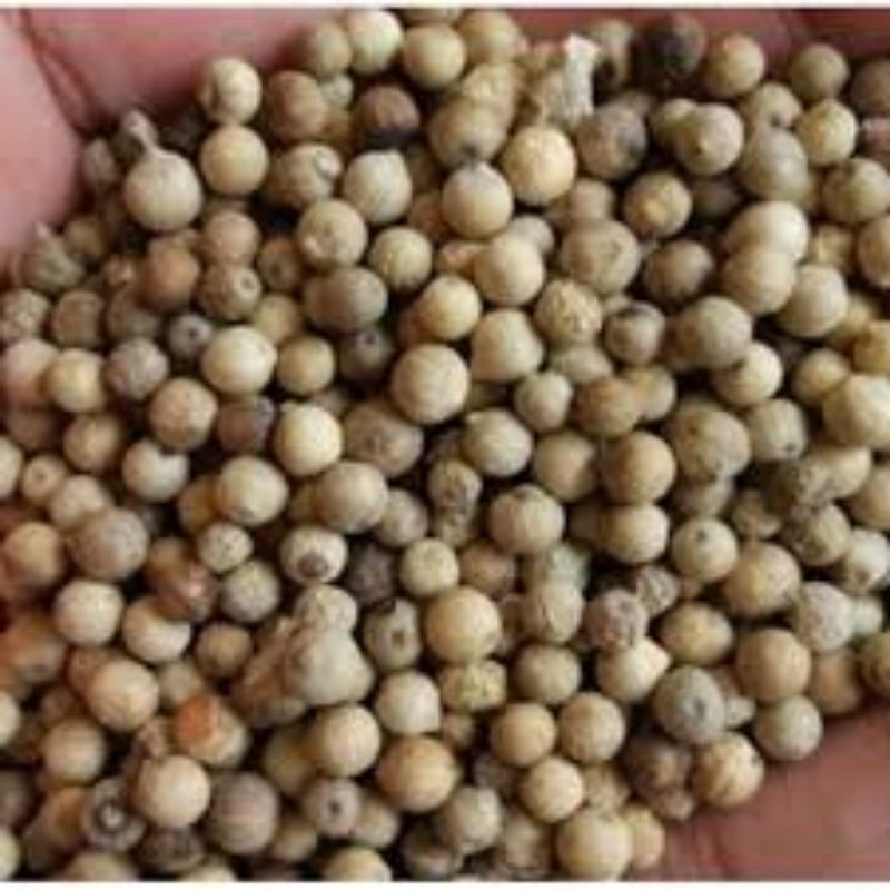 

White pepper whole / Lada putih biji / Lada utuh / Bumbu rempah