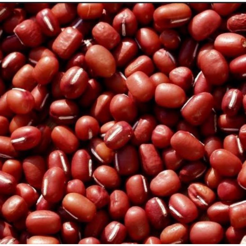 

KACANG MERAH ADZUKI 500 gram/ AZUKI RED BEAN IMPORT