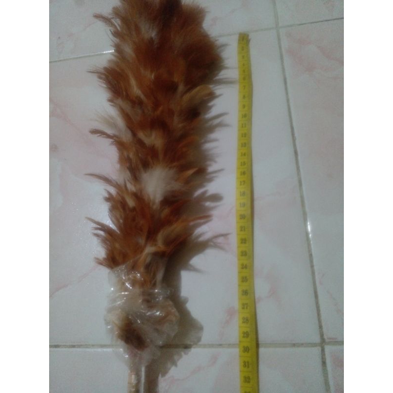 kemoceng bulu ayam/pembersih debu