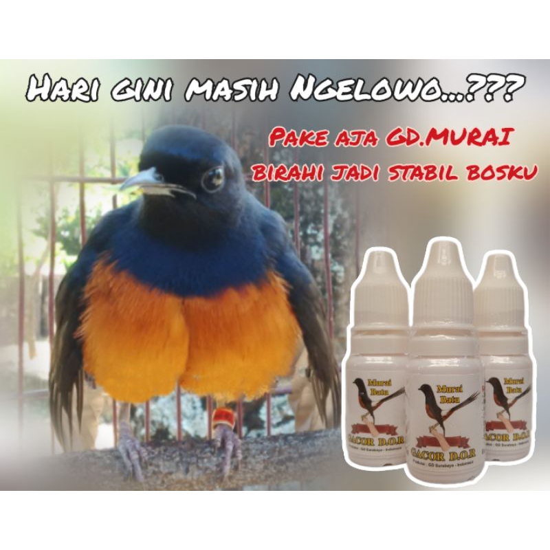 vitamin murai stabil birahi