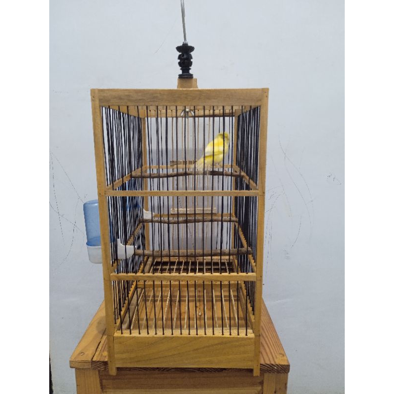 Sangkar Kontes Kenari // Show Cage Canary // Sangkar Kenari // Sangkar Kayu