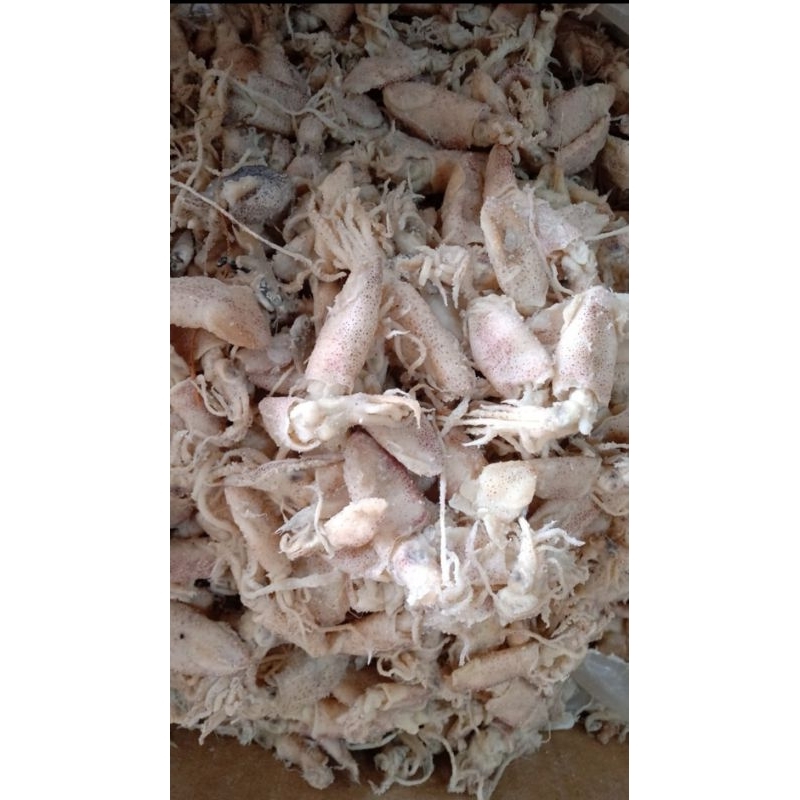 

cumi baby asin 500gram