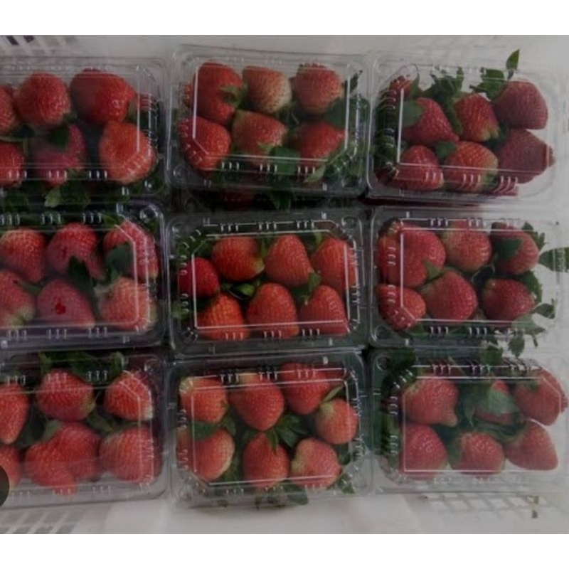

[terlaris] Strawberry 1 Pack Murah