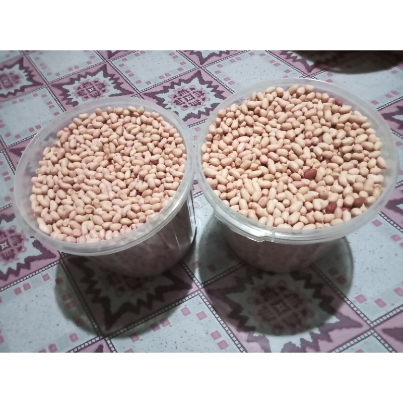 

Kacang Tanah