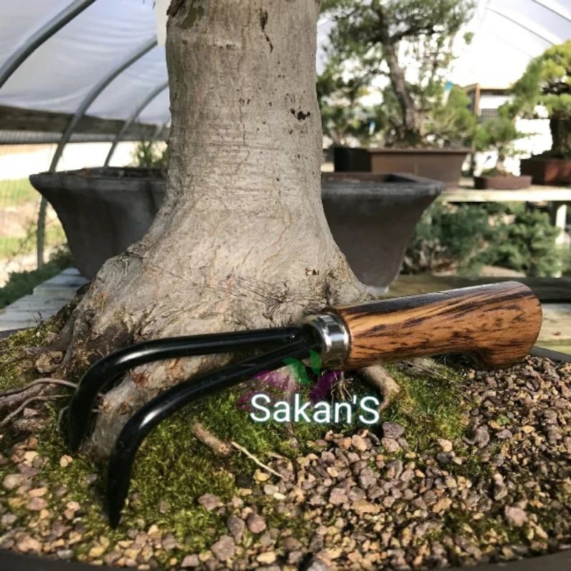 Peralatan Bonsai dan Berkebun Garuk Akar Ryuga