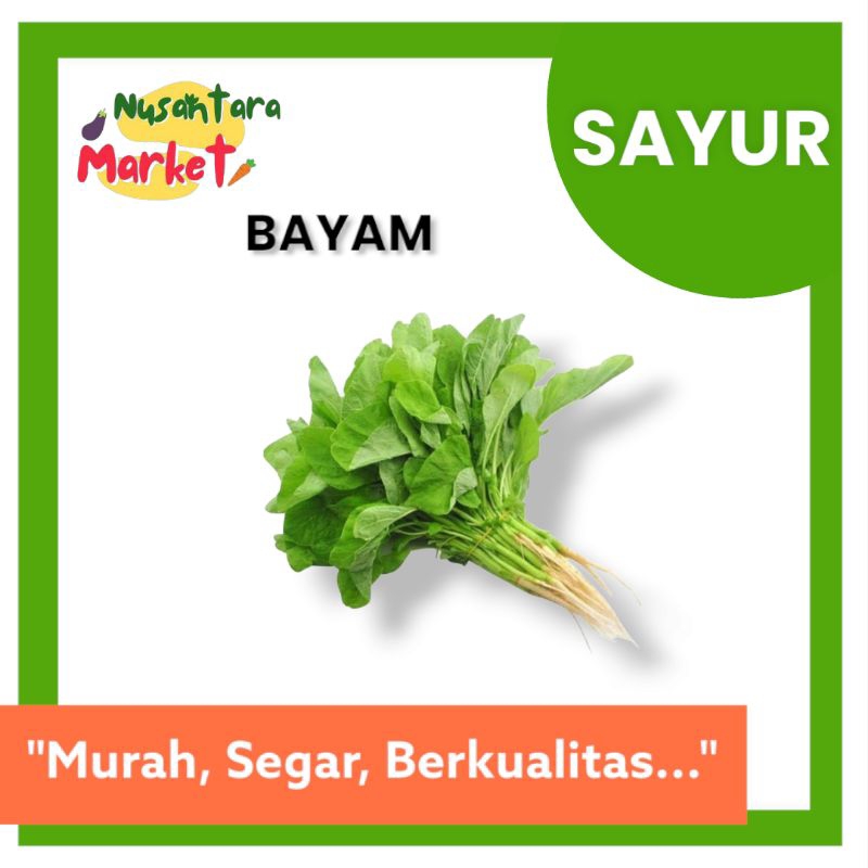 

BAYAM | ISI PERIKAT | NUSANTARA MARKET | SURABAYA