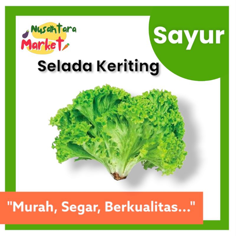 

SELADA KERITING SAYUR | 500GR | NUSANTARA MARKET | SURABAYA