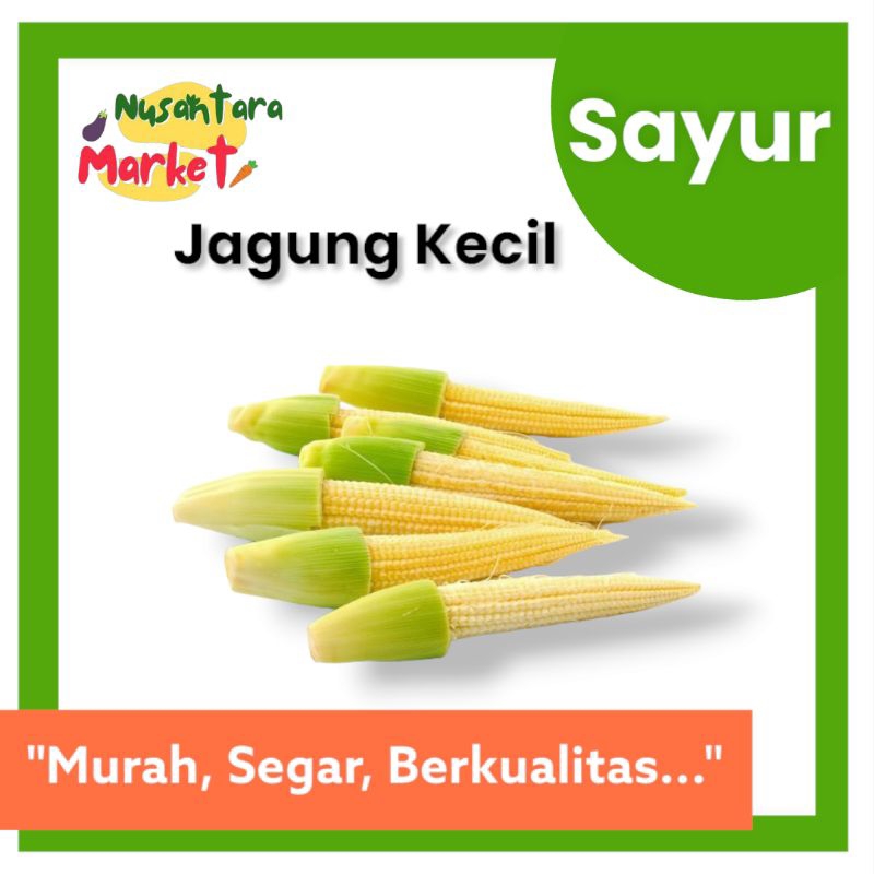 

JANTEN | 1 PACK ISI 8 PCS | NUSANTARA MARKET | SURABAYA / JAGUNG MUDA / BABY CORN