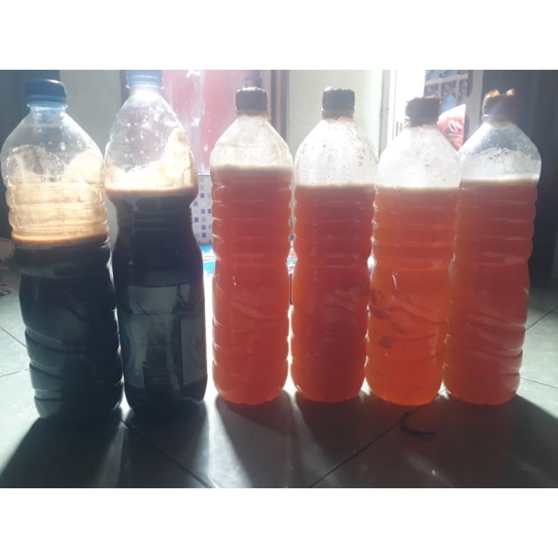

MADU sialang hutan liar jambi 1kg( bonus minyak kayu putih)