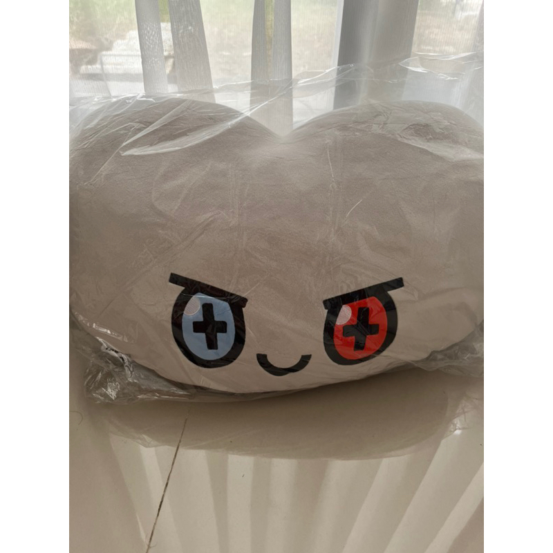 TRUZ FACE CUSHION / Pillow