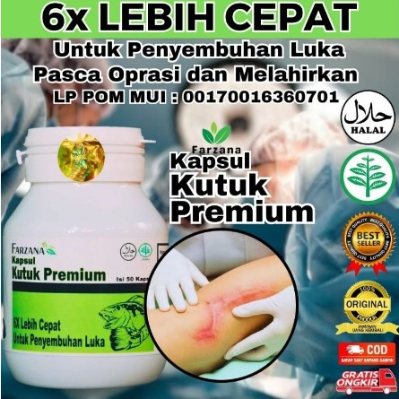 Kapsul Pil Kutuk Premium Pro Albumin Kapsul Gabus Original Pasca Operasi 6x Bekas Luka Diabetes Jahitan Cepat Kering