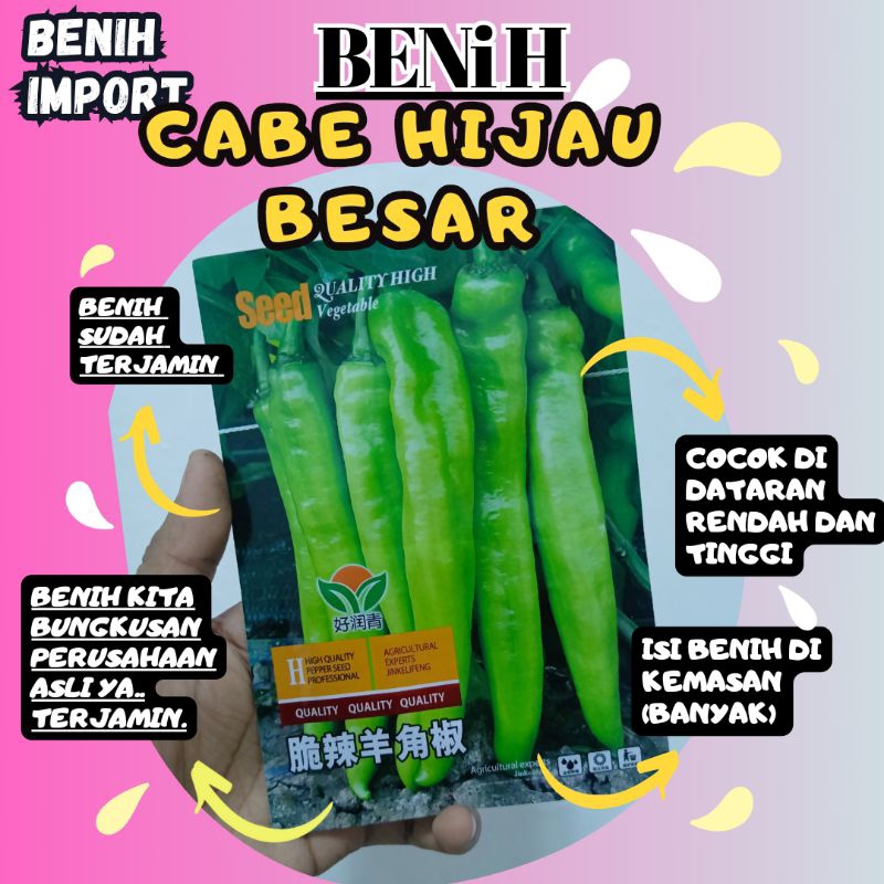 BENIH CABE HIJAU BESAR KEMASAN PABRIK