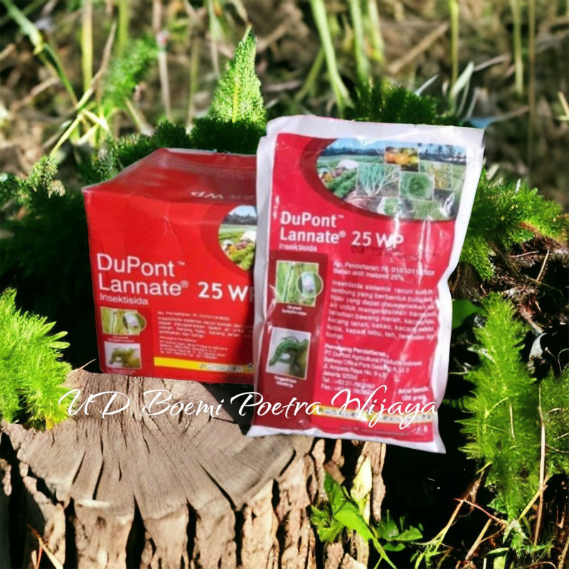 DUPONT LANNATE 25WP INSEKTISIDA