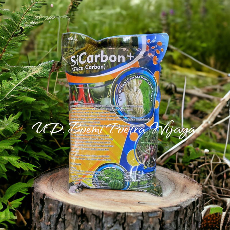 SILICA CARBON BIO HAYATI
