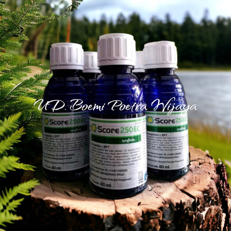 SCORE 80ml Fungisida ORIGINAL 100%