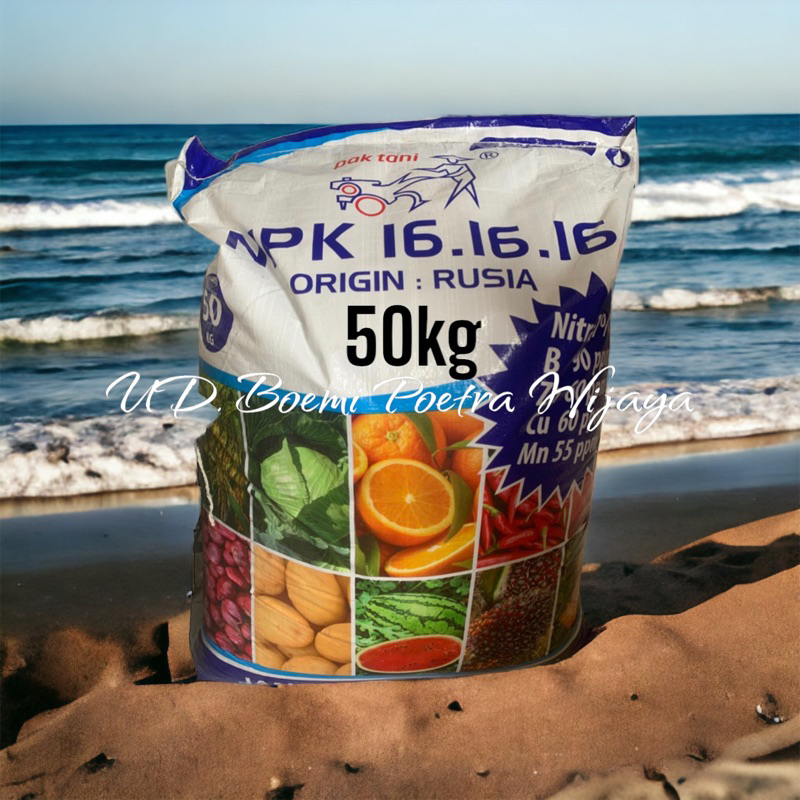 PUPUK NPK 16-16-16 ORIGINAL RUSIA