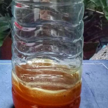 

(ASLI) Madu Hutan Murni Sumbawa Asli Tanpa Campuran 100ml Kualitas 2